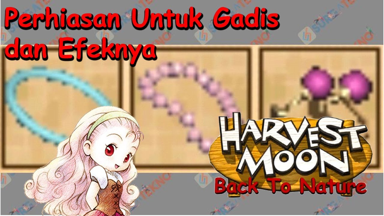 Perhiasan untuk Gadis, dan Efeknya - Harvest Moon back To Nature