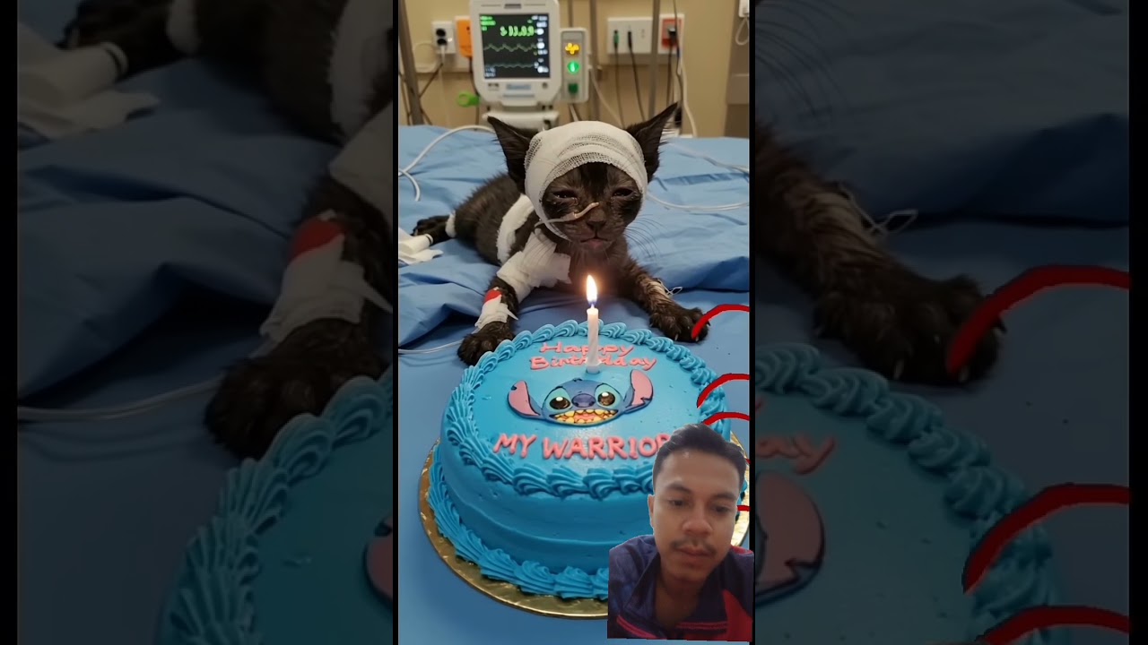 #happybirthday