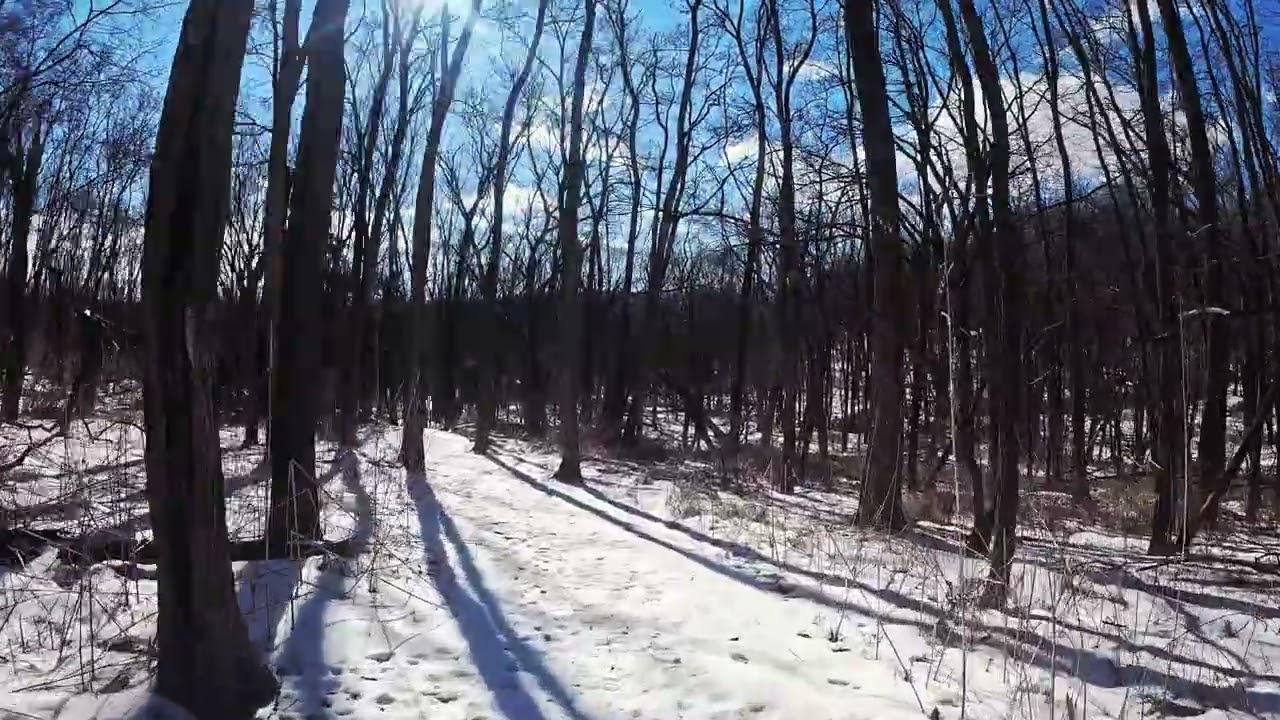 Brady's Bluff 2/6 (part 2)
