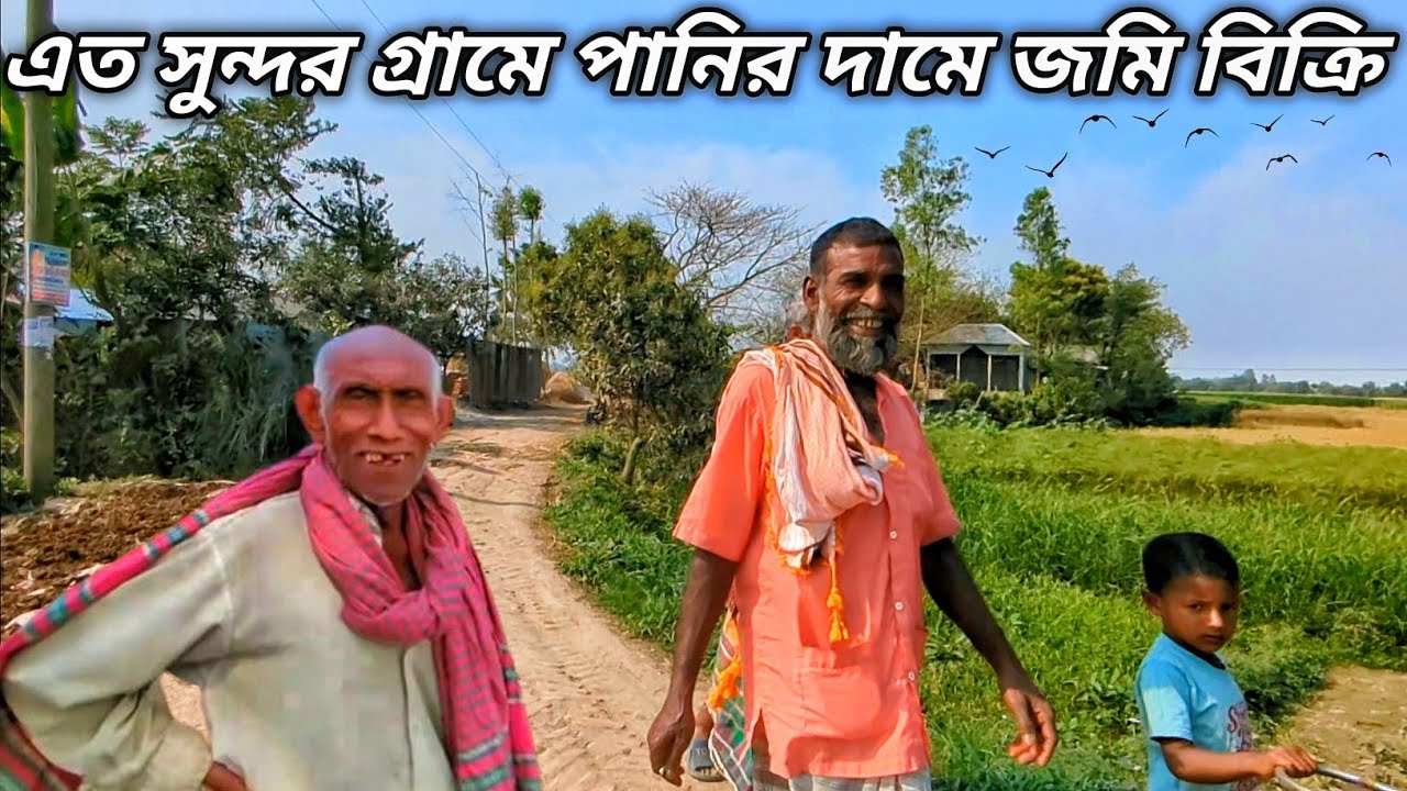 এত সুন্দর গ্রামে জমির দাম এত কম | এত কম দামে জমি হয়ত আগে কখনো দেখেননি | Grammo Jibon