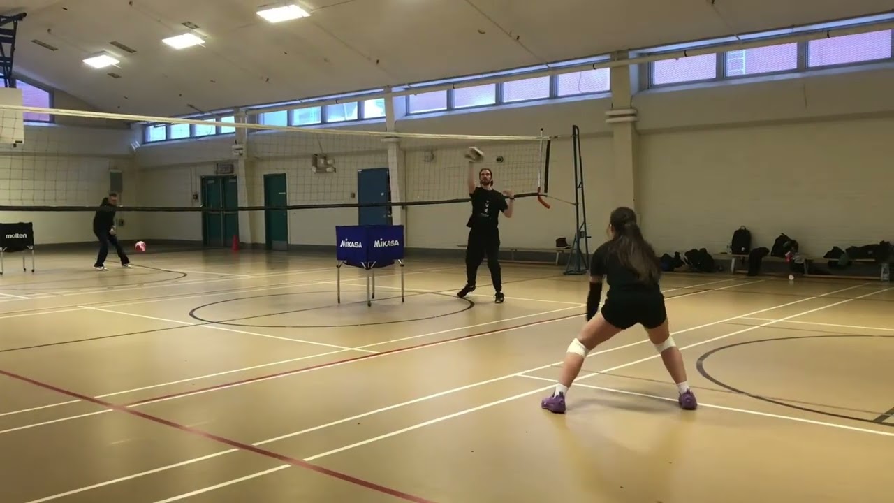 Never Too Much Volleyball