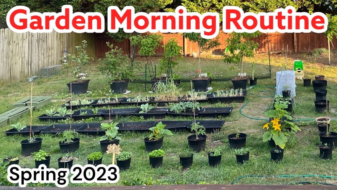 My Morning Routine #spring2023#garden#vegetables#homestead
