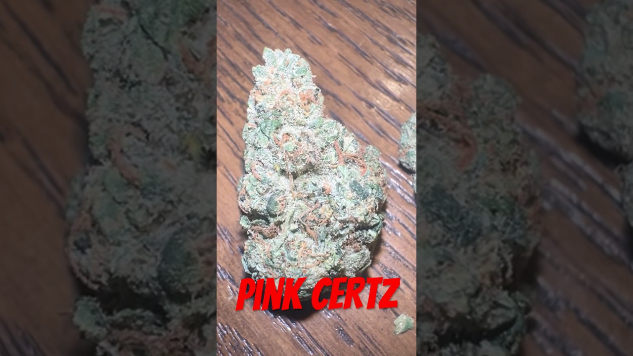 Pink certz strain review