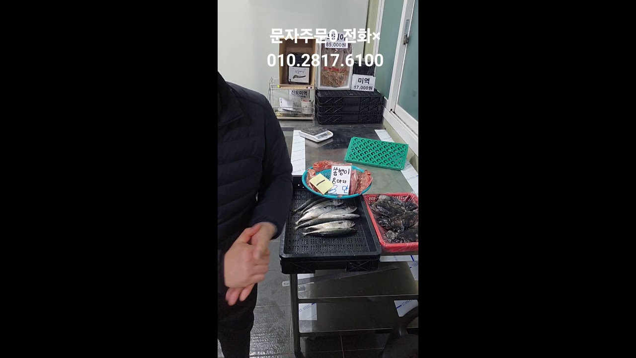 목포백억수산 #잡어초특가!