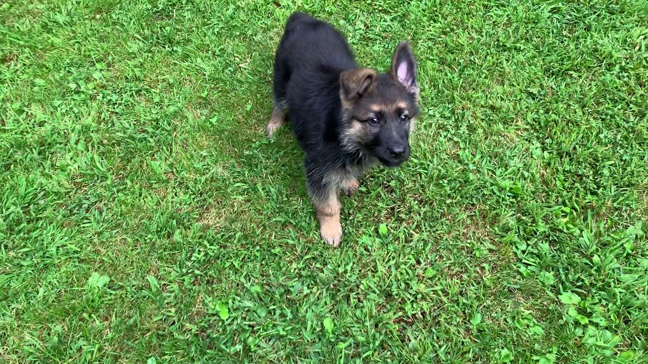 Giito!!! 1 month old