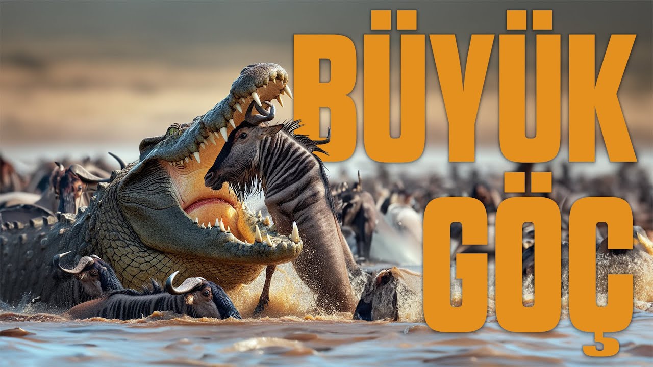 B&Uuml;Y&Uuml;K G&Ouml;&Ccedil; | Serengeti'den Masai Mara'ya Tam Belgesel