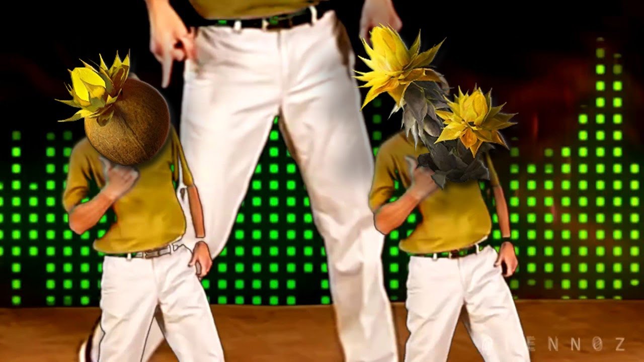 i n f i n i t e SANDLEAF