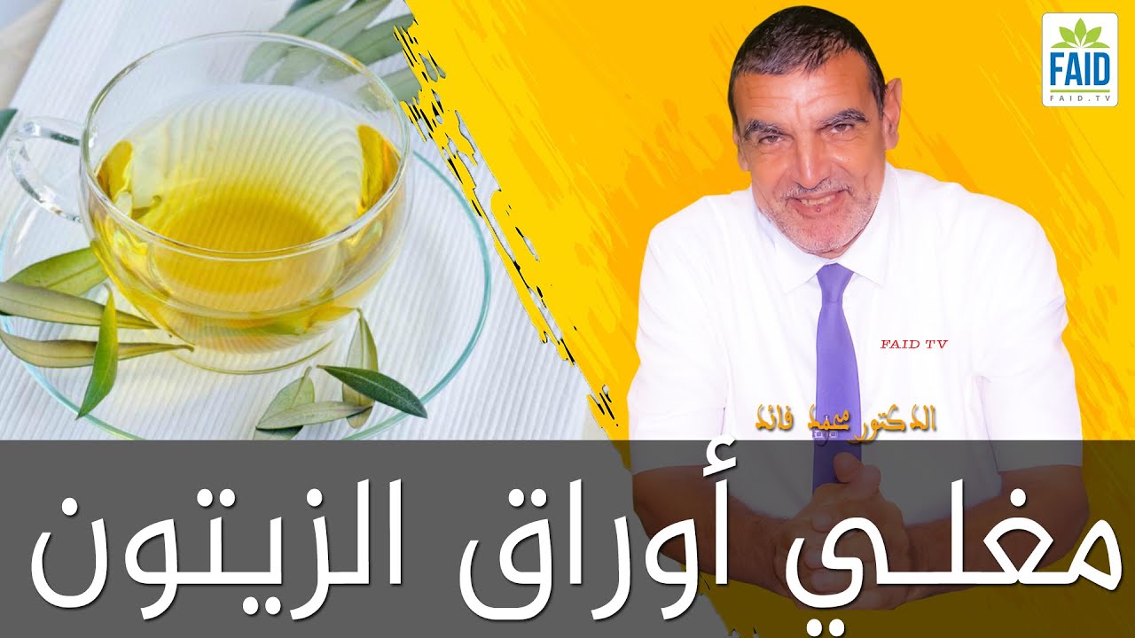 مغلي أوراق الزيتون في الليالي الباردة بديل حقيقي للشاي | الدكتور الفايد