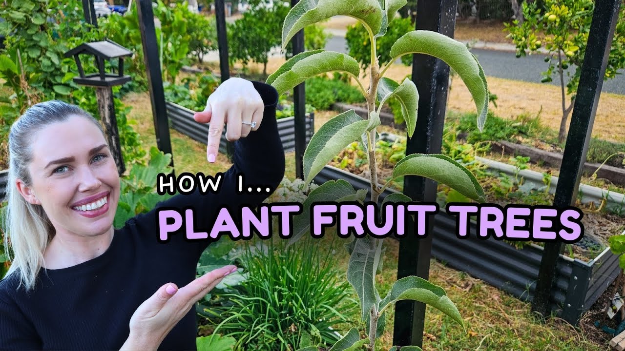 Planting more FRUIT TREES in the front garden 🌳