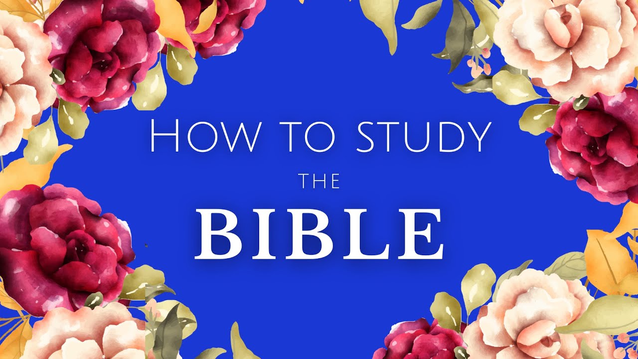 How To Study The Bible (Step by Step, Easy and Practical)