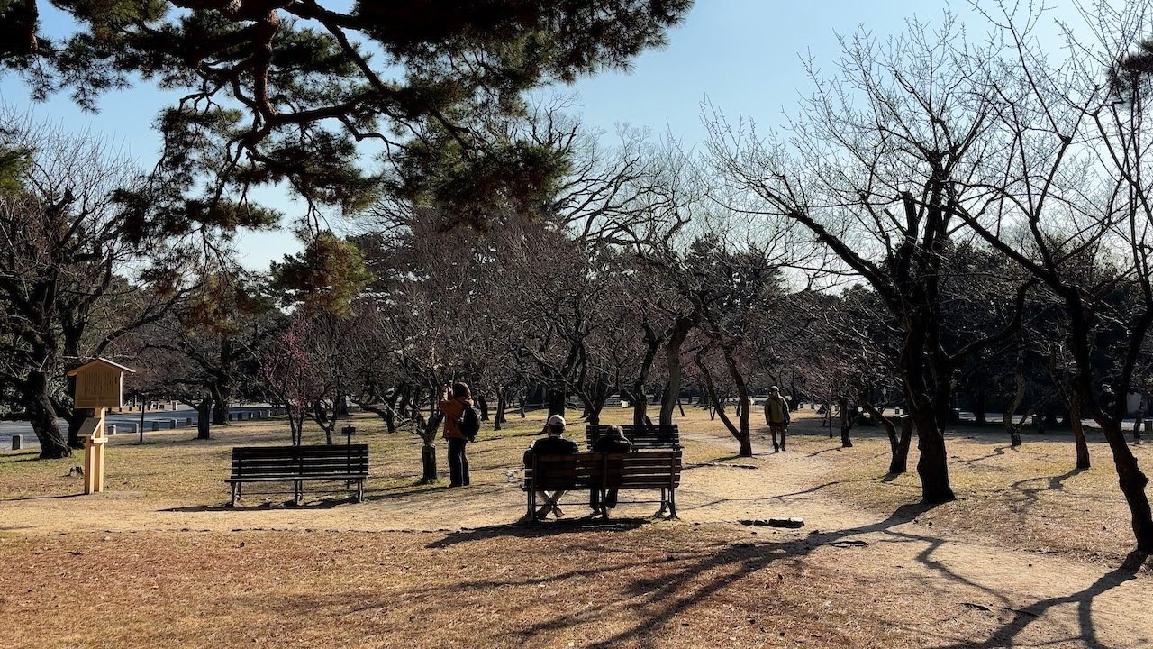 Kyoto Gyoen National Garden Japan 2026 Feb 04