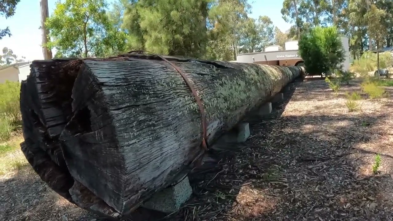 Western Australia Holiday 2024- Part 3- SW towns and the Gloucester Tree