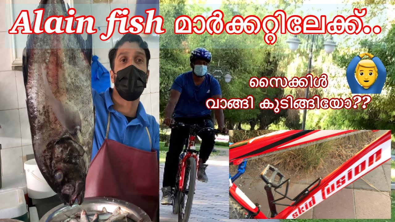 Alain fish മാർക്കറ്റിലേക്ക്