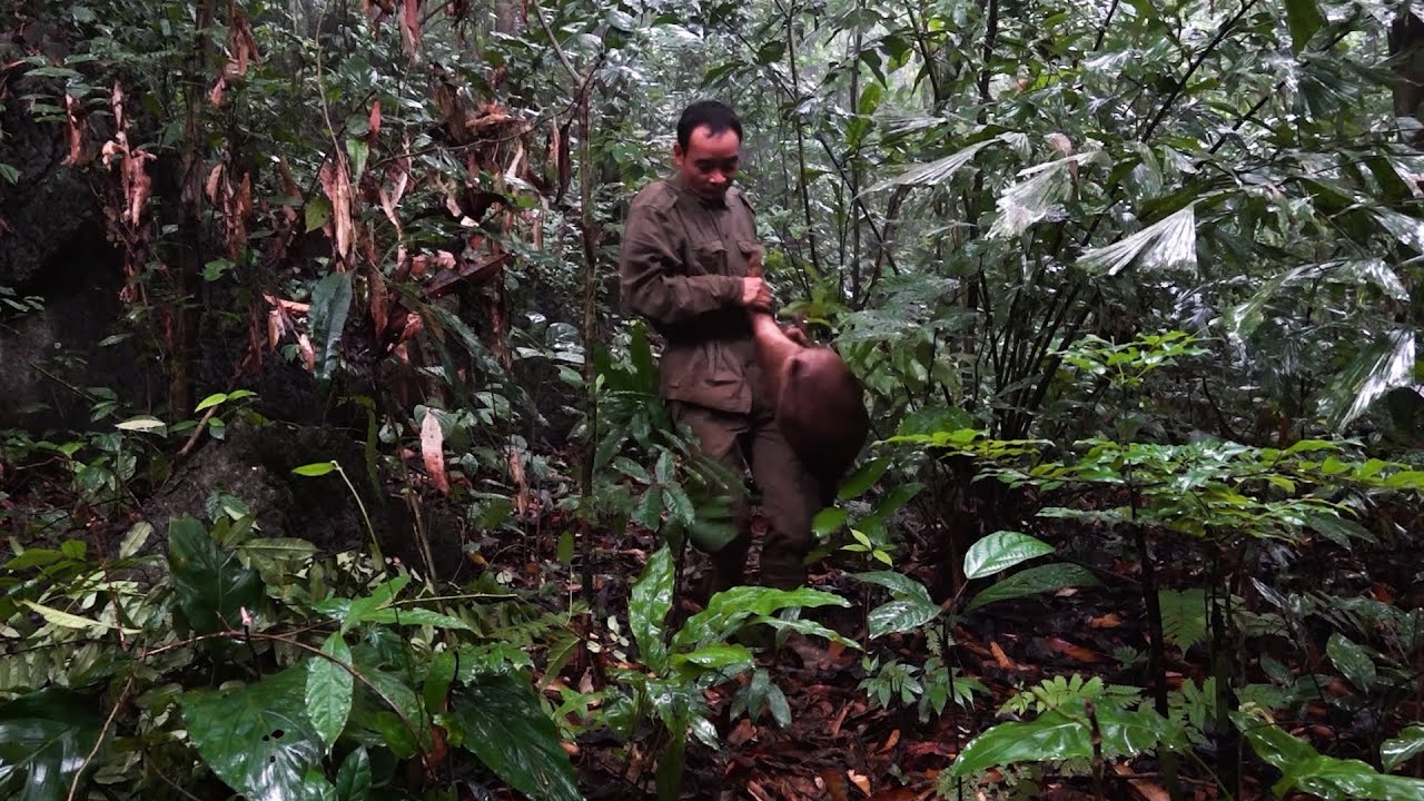 Found wild boar tracks and traps in the rain | 365 Days of Survival in the Deep Forest | Episode 5