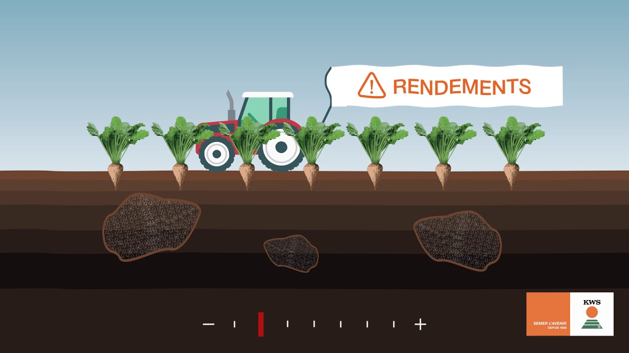 Pourquoi faire le choix de variétés nématodes ?