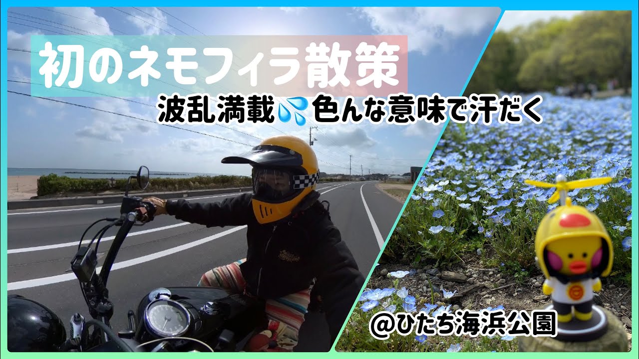 【ひたち海浜公園】茨城に来て5年初のネモフィラ散策ツーリング