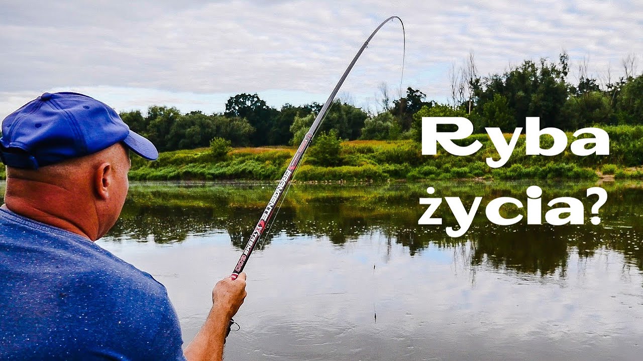 Dzień, w którym przegrywasz wszystko. Rekordowa brzana? Rzeka Odra. Bolonka.