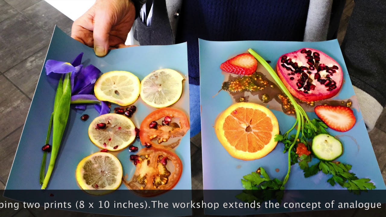 Photography without Cameras. - A Lumen Print Workshop, Phyllis Schwartz