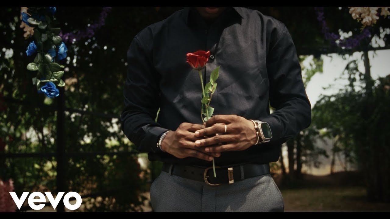 Baron Petitdjoul - Tu m'as fait mal (Clip Officiel)