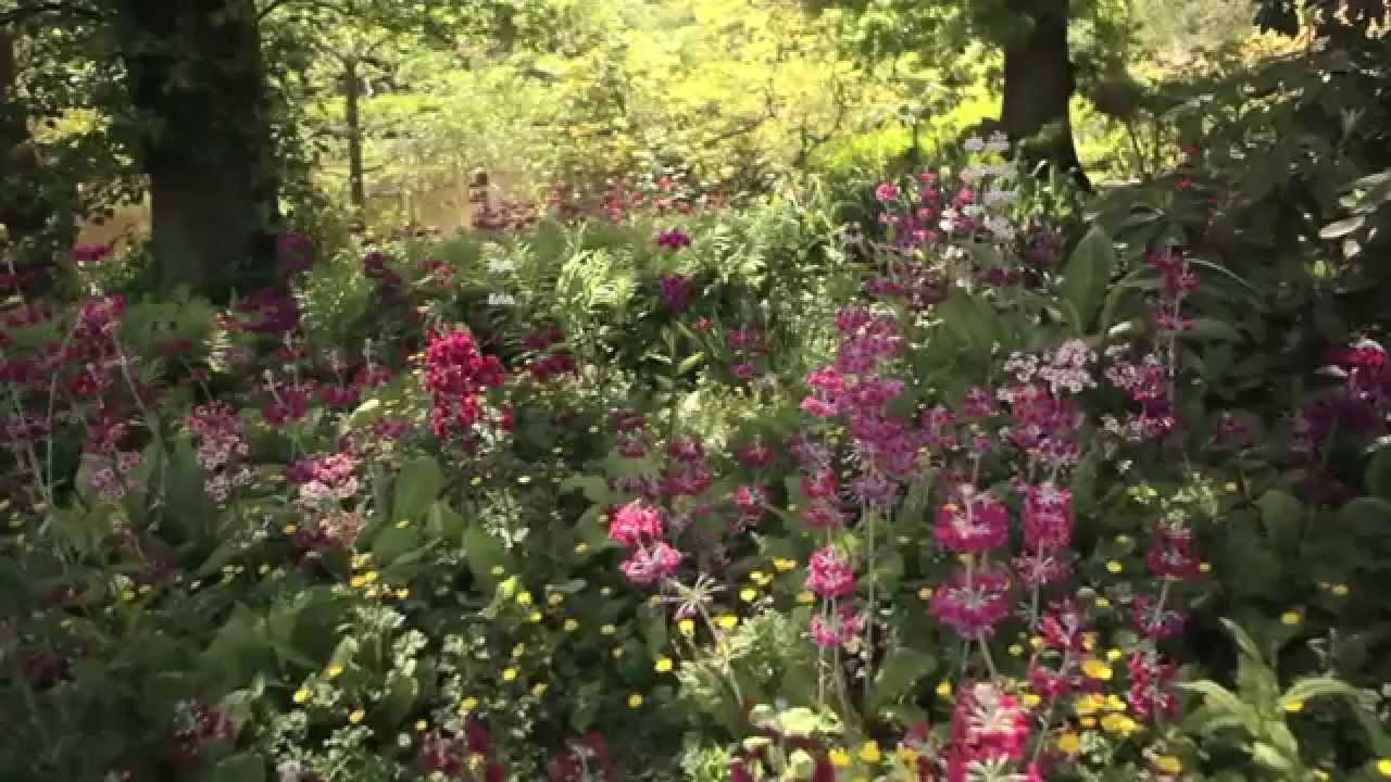 Visiting The Savill Garden in spring, Windsor Great Park
