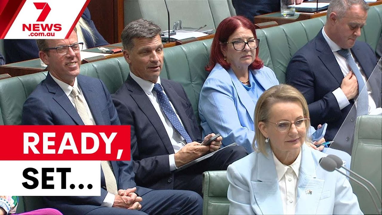 Angus Taylor poised to challenge Sussan Ley | 7NEWS