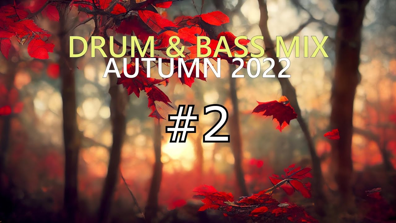 Autumn 2022 DRUM & BASS MIX #2 (ft. Subsonic, Delta Heavy, Maduk, Andromedik & more)