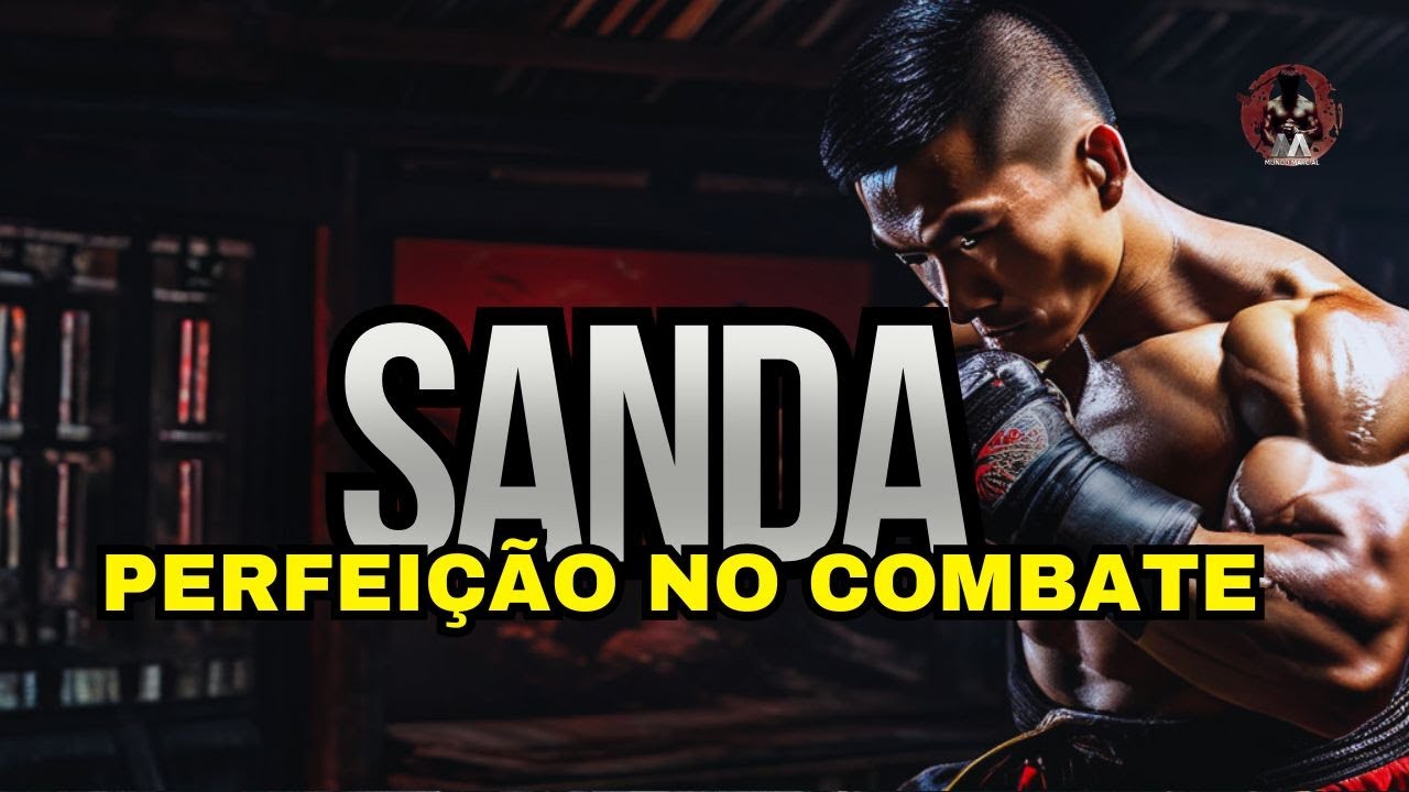 Sanda: A Única Arte Marcial Que Te Torna Imbatível no Combate