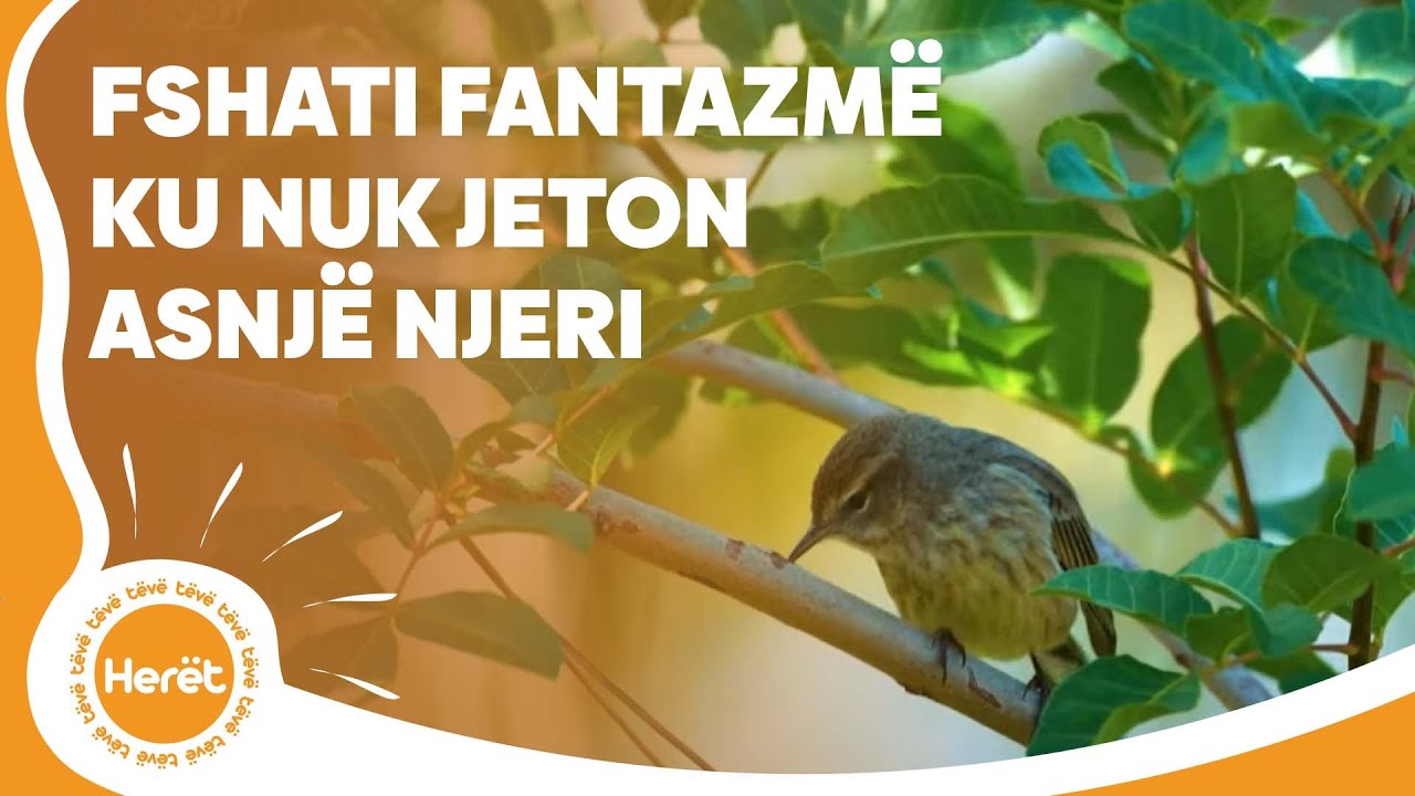 Fshati fantazmë. Ku nuk jeton asnjë njeri