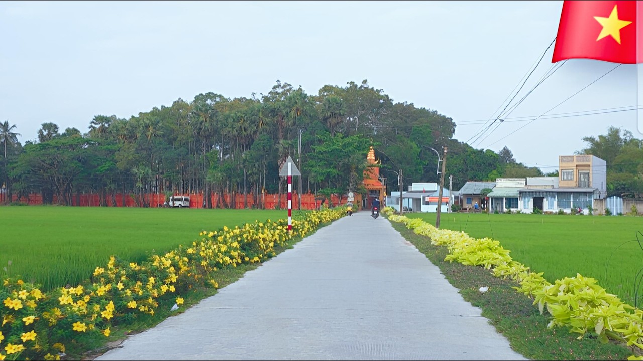 POV: Peaceful Vietnam Countryside Ride at 6AM 🇻🇳 | Đường Phố Việt Nam #3