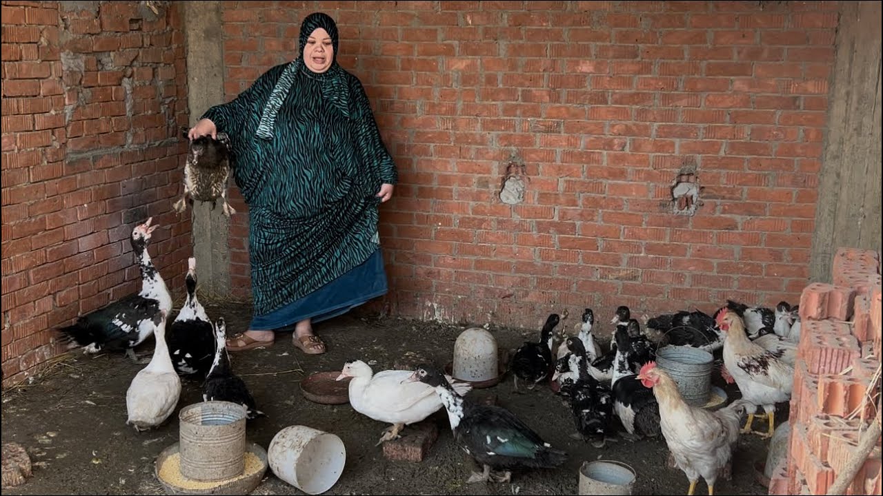 ام جني عليه العوض ومنه العوض يوم في رمضان من غير منتاج عشان كل حاجه تبقي علي عينك ياتاجر شوفو حياتي😏