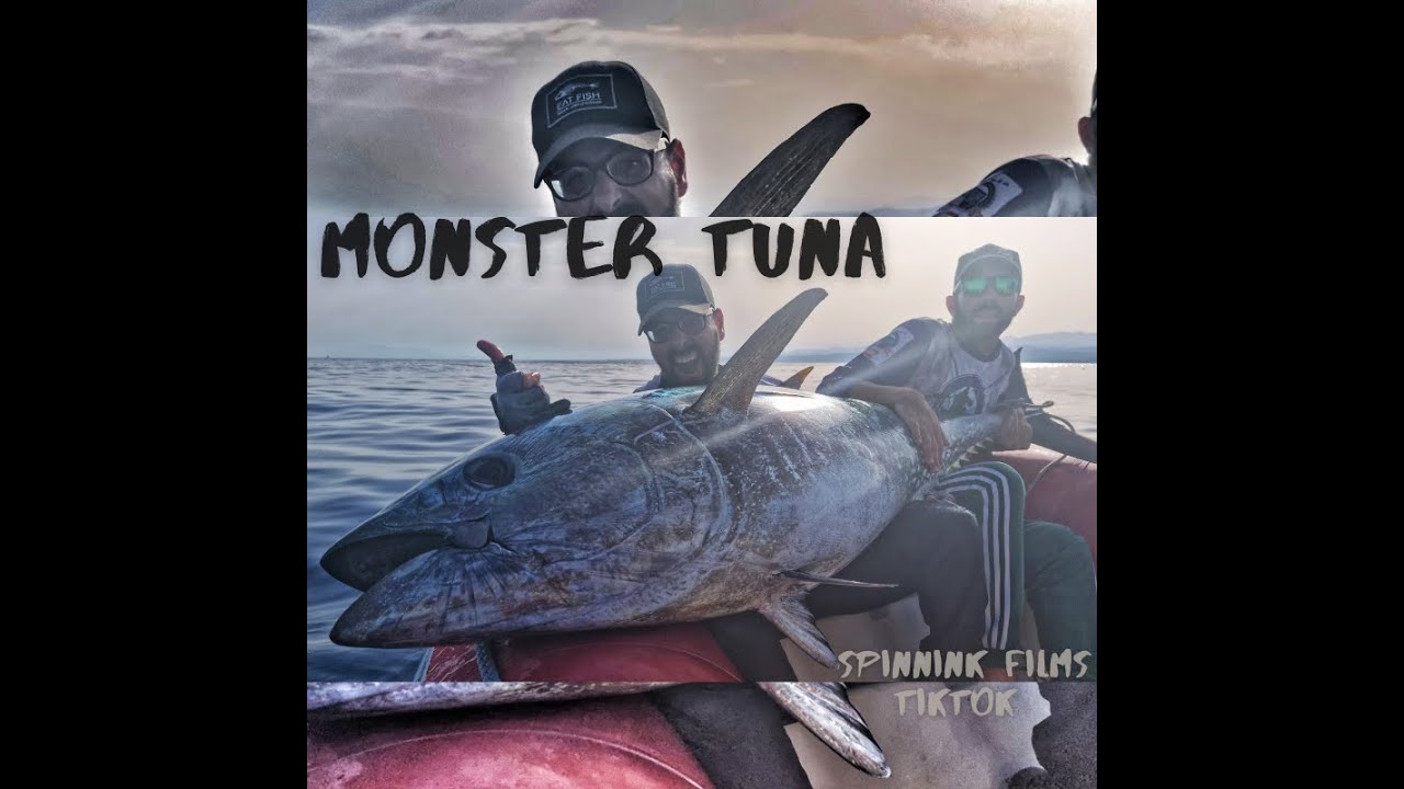ATUNACOOOOOOO. Atunes a brumeo e intento a spinning en el Delta del Ebro. Pesca de gigantes