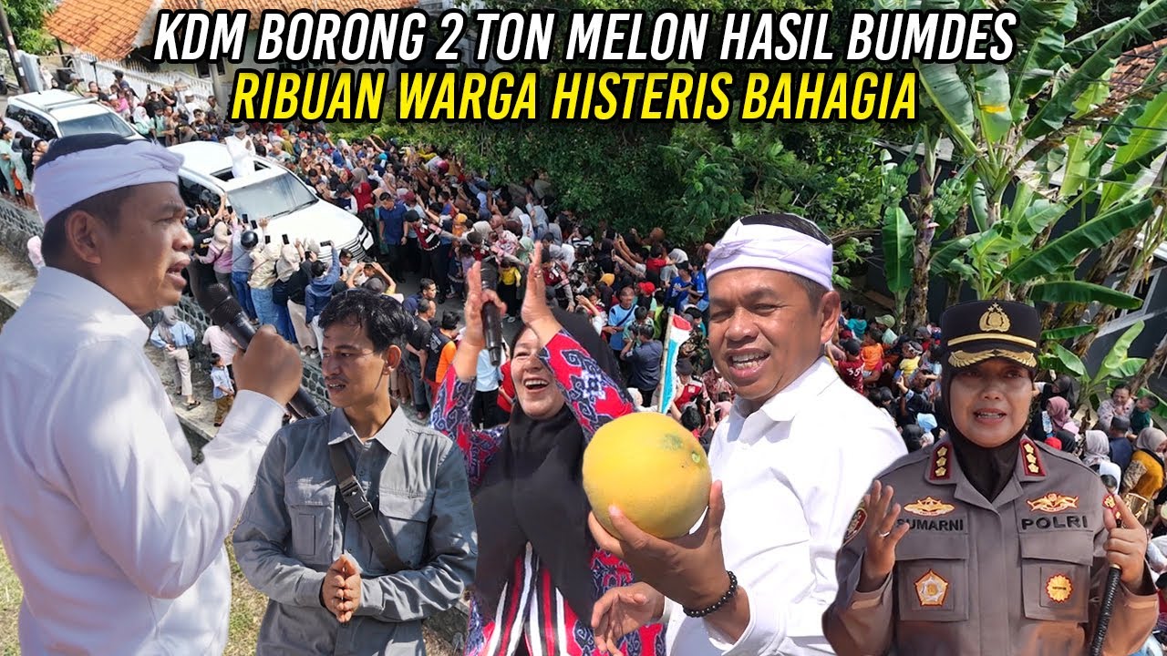 KDM BORONG 2 TON MELON HASIL BUMDES CIAWIJAPURA CIREBON | RIBUAN WARGA HISTERIS BAHAGIA