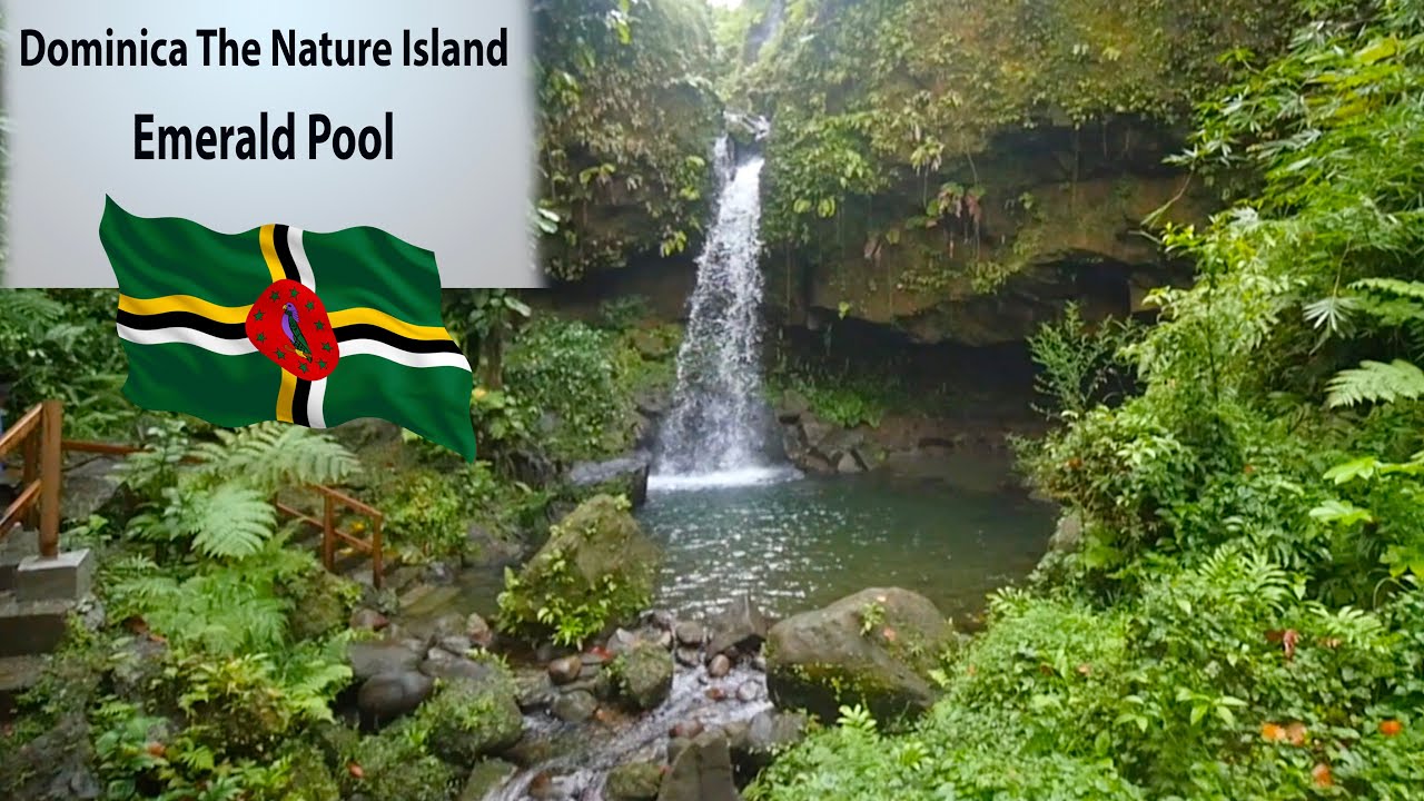Emerald Pool | Waterfall | Dominica The Nature Island
