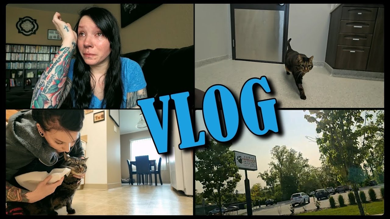 VLOG: May 31st-June 5th | Things Are Not Okay, Baxter's Sick, & ER Visit.