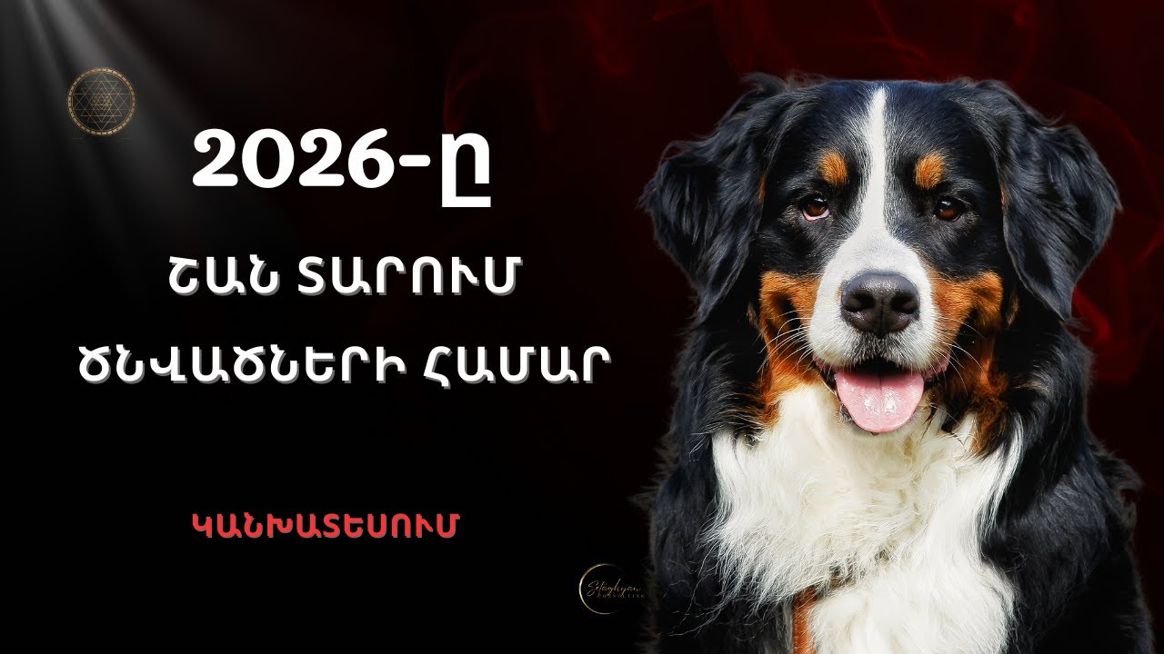 2026-ը շան  տարում ծնվածների համար․ կարիերա, ֆինանսներ, հարաբերություններ