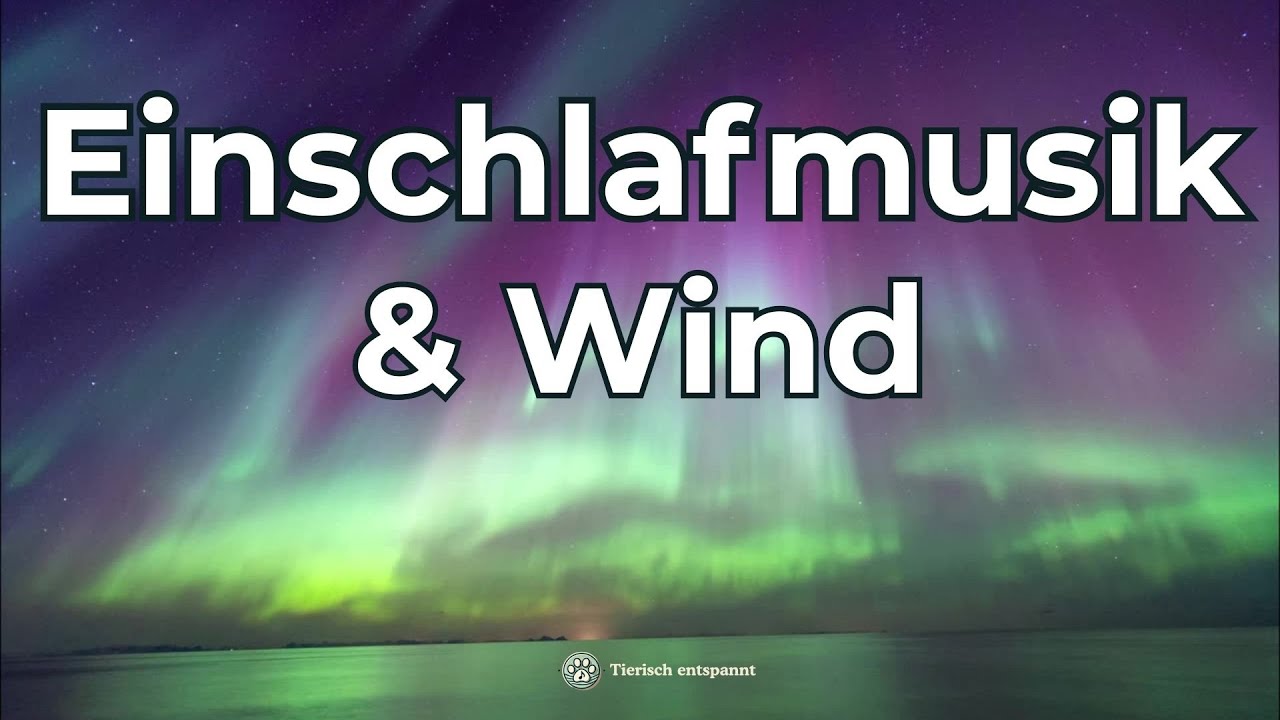 Wind zum Einschlafen | Einschlafmusik zum Entspannen und Erholen