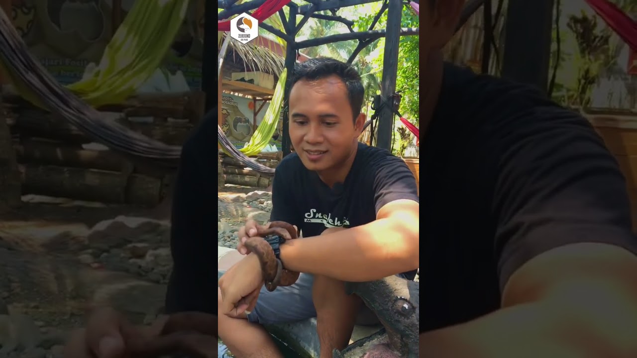 Monopohon #short #viral #reptiles #faktaunik #snake #ular #zeroundedupark