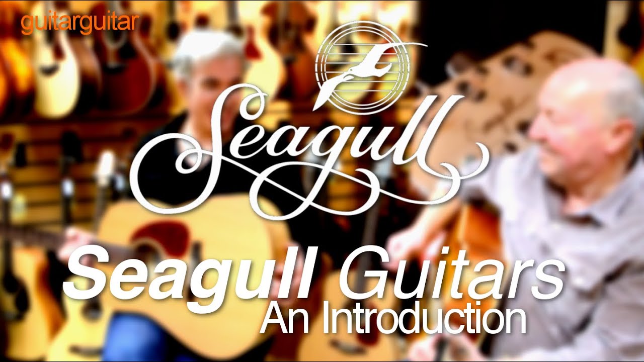 Seagull Guitars 2015 - An Introduction