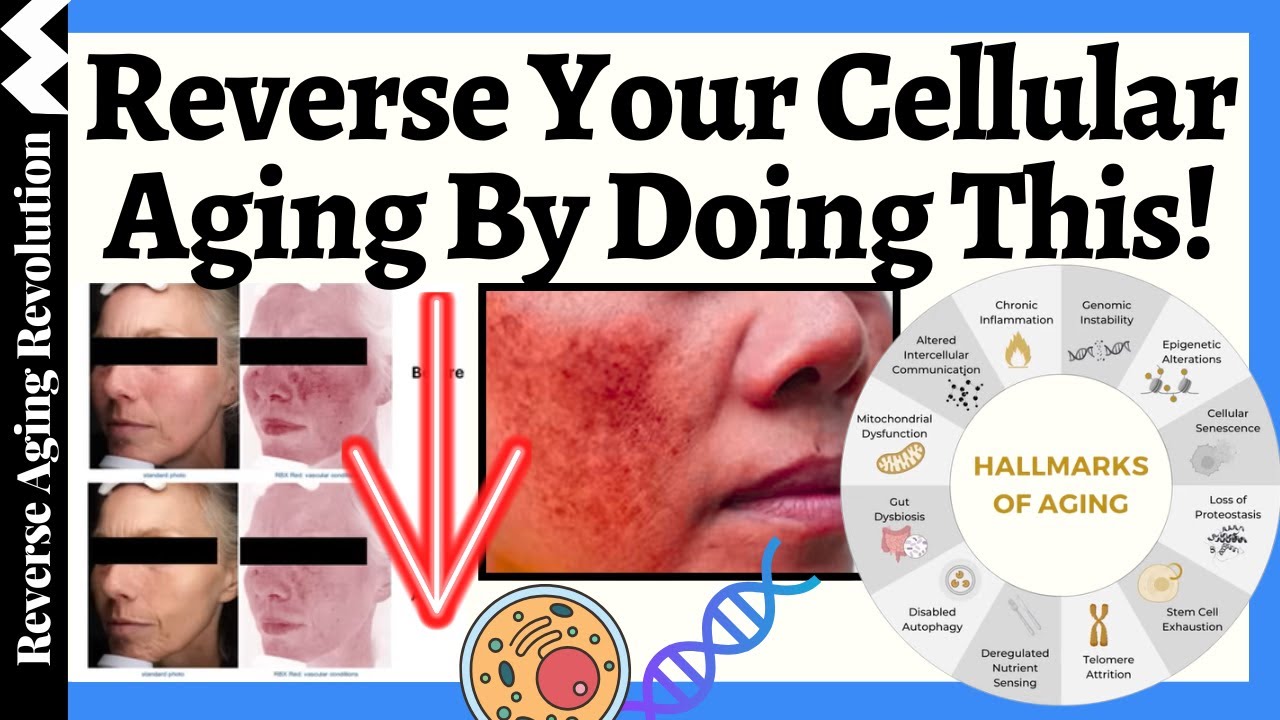 To Address Aging, You Must Start At The Cellular Level (Here's HOW!!!)