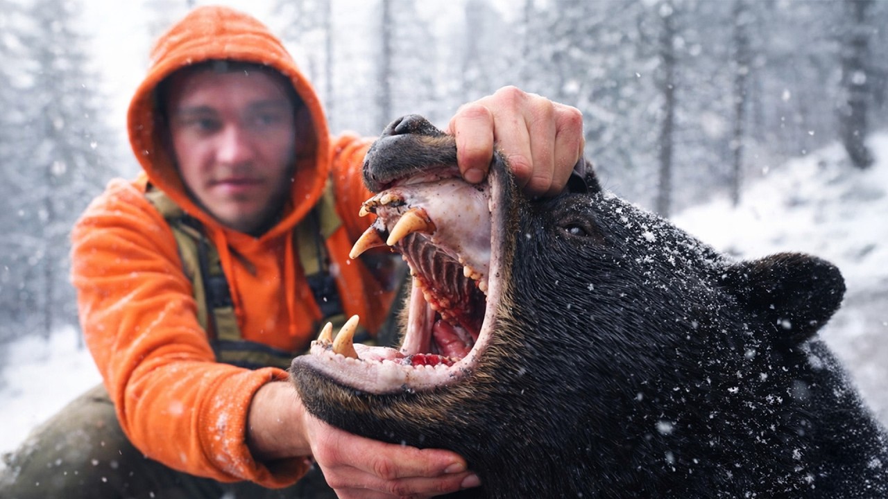 I Hunted Black Bears in the Snowy Mountains!