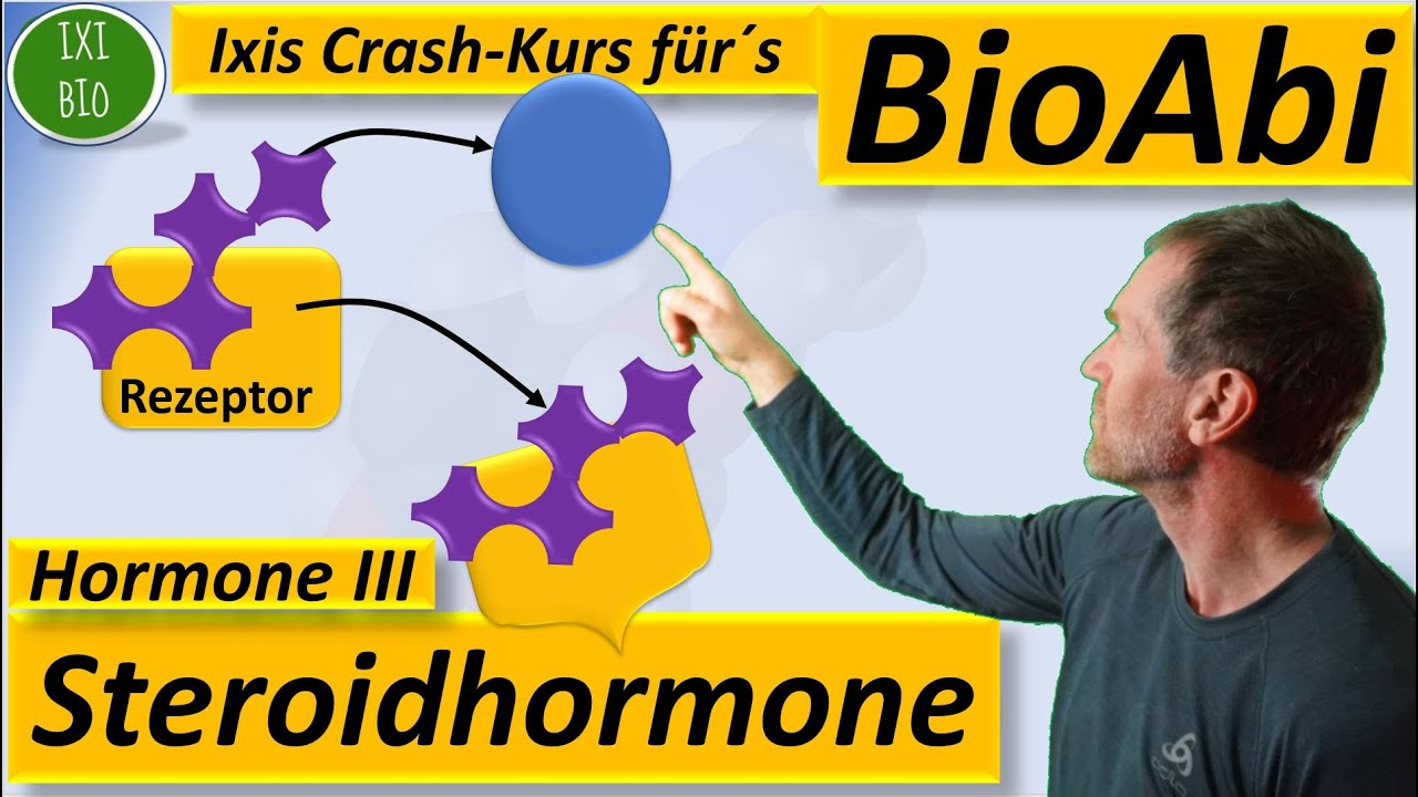 Hormone 3 Steroidhormone - Wirkungsweise im Detail Vergleich von hydrophilen + hydrophoben Hormonen