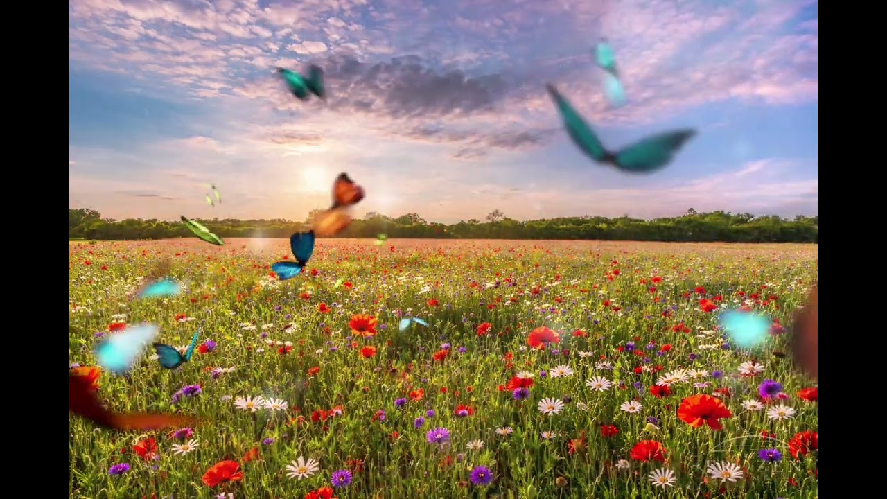 🌅Fermin. İlkbahar Huzuru  | Sakinleştirici Müzik EN:🌅 22 Minutes of Spring Serenity  |Relaxing Music