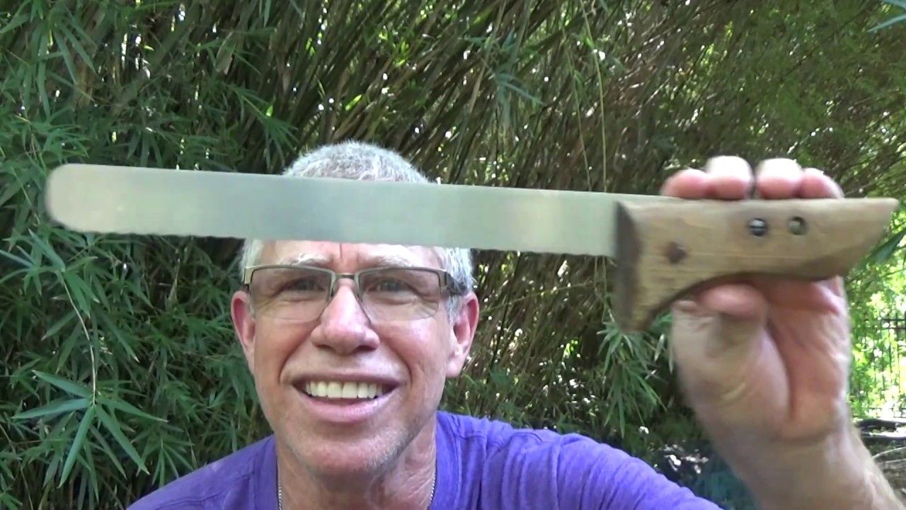 Surgical bee hive removal and relocation.
