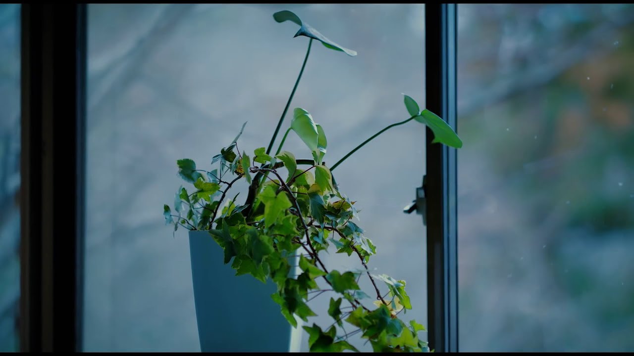 박정원 (Park Jeong Won) - Love Theme Autumn Tale (Autumn In My Heart Soundtrack in 2000)