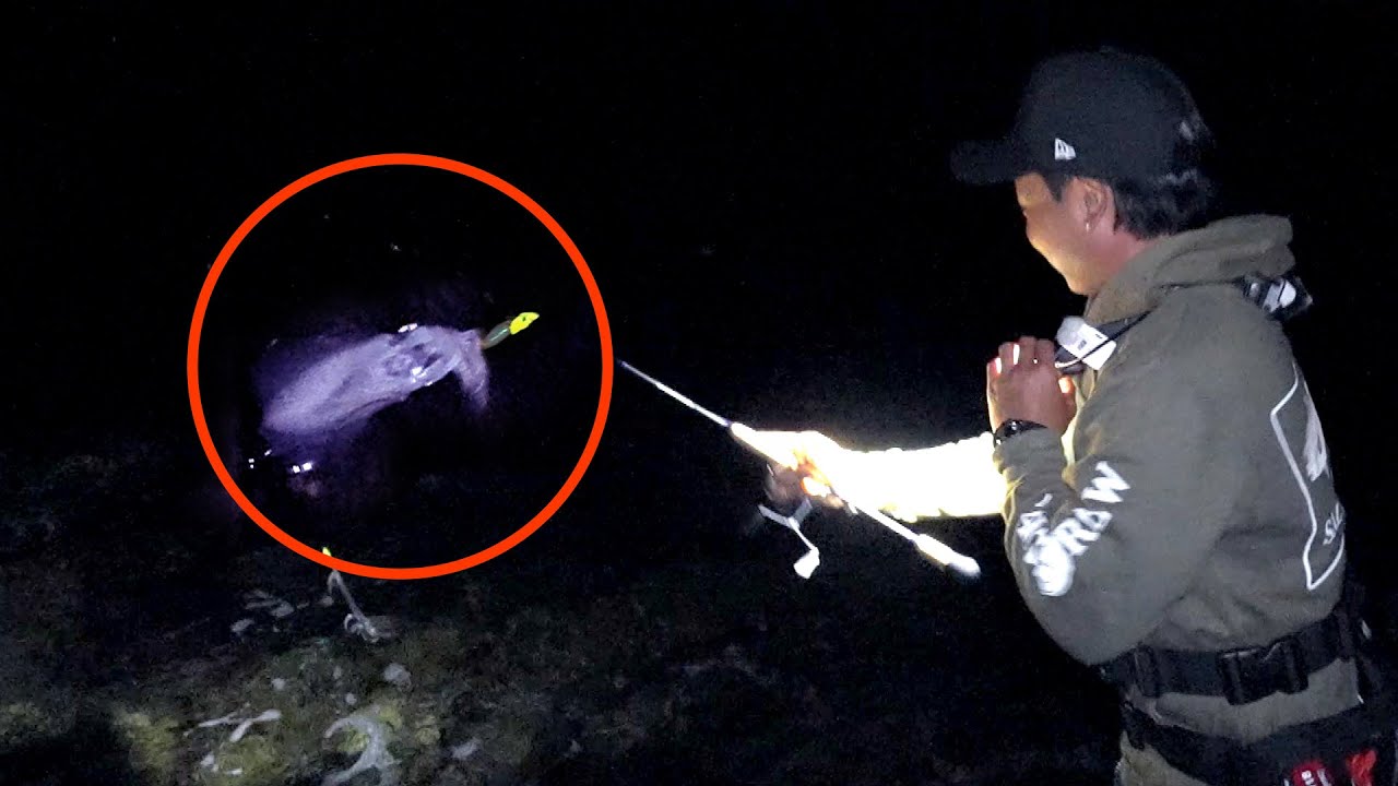 イカは「ただ巻き」で釣れ！Squid Fishing Straight Retrieve without jerk