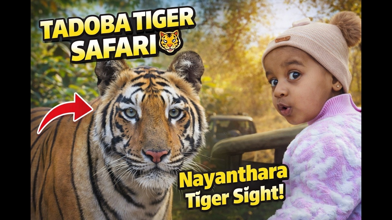 Tadoba Tiger Reserve Safari 🐅 | Nayanthara Tiger Sighting | Tadoba Travel Vlog 2026