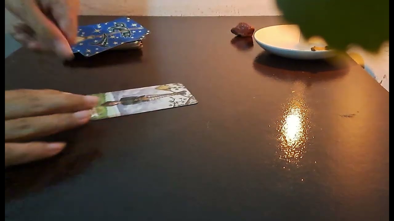 EU DEVO FAZER ISSO? DEVO TOMAR ESSA INICIATIVA? #tarot #amor #baralhociganogratis 