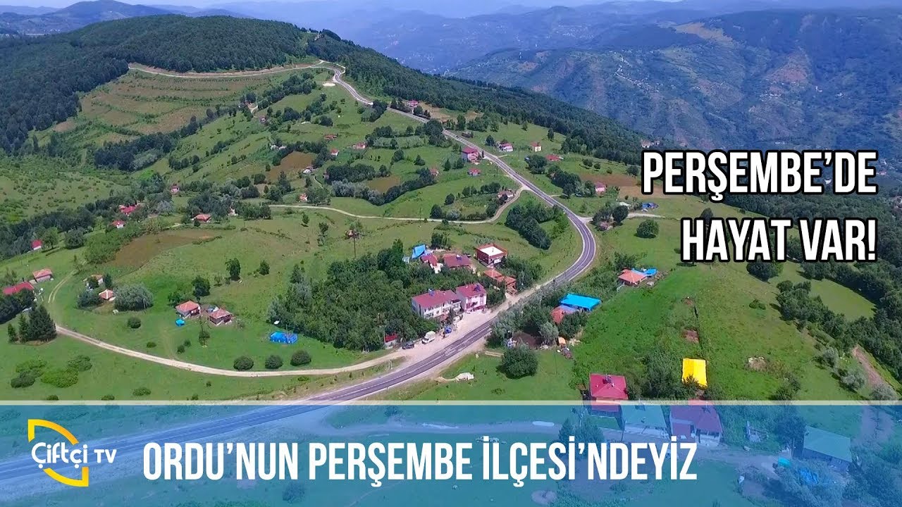 Ordu'nun Perşembe İlçesi'ndeyiz! / BİZİM KÖY