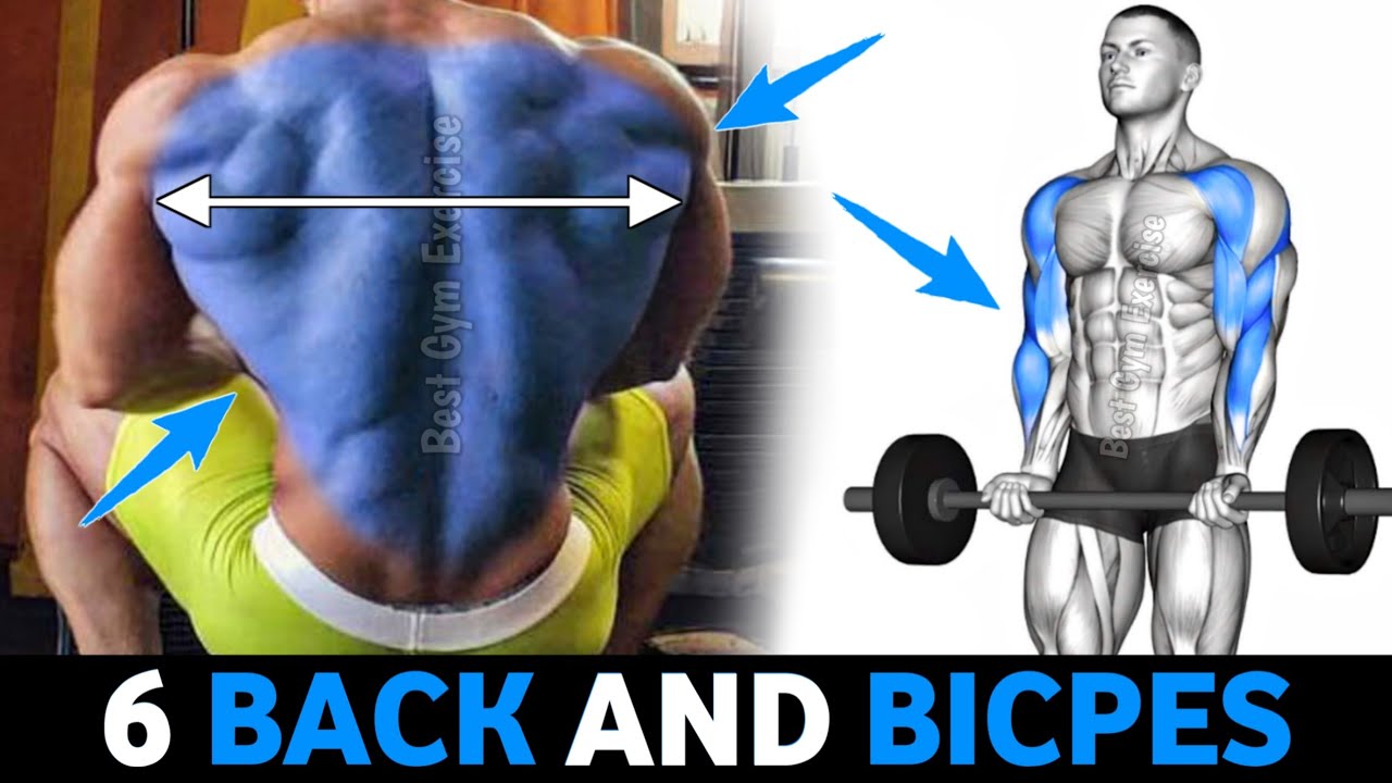 6 Effective Back And Bicep Workout At Gym