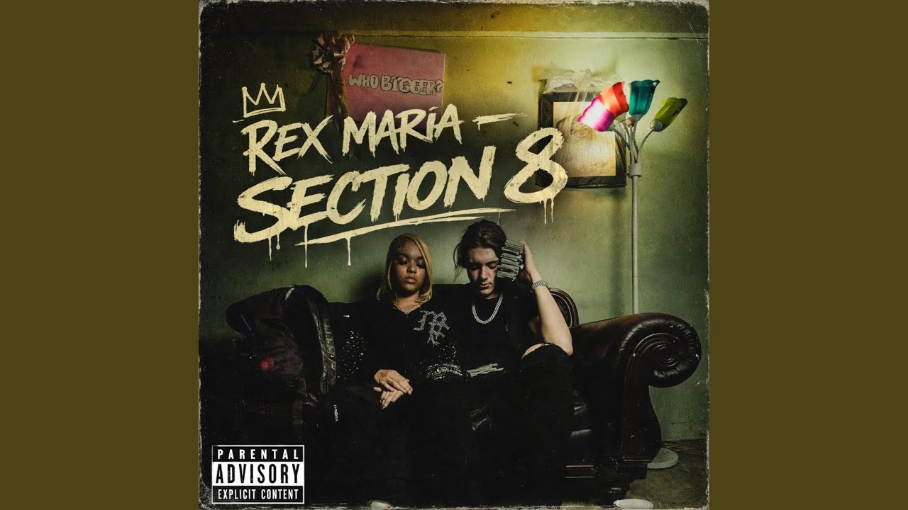 Section 8